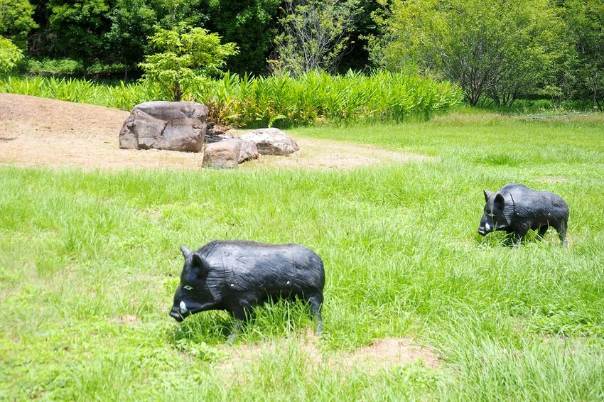【南投埔里行程】2023南投埔里親子兩日遊行程推薦.水泥角生態民宿,部落體驗.Feeling18 LAB-烘焙研究所