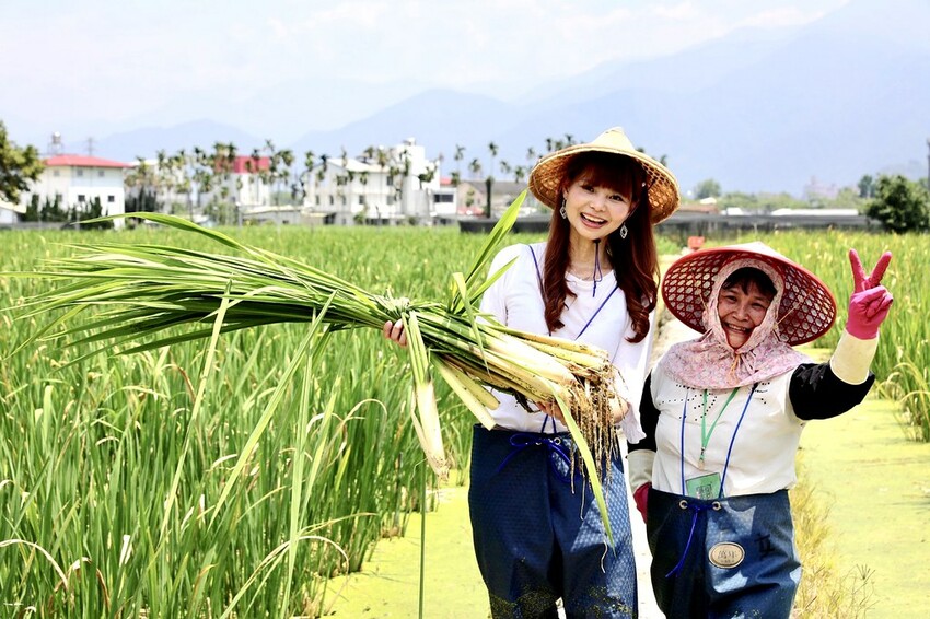【南投景點】♥桃米親水公園♥2023埔里親水節-六足狂想曲帶你清涼過暑假,南投免費玩水景點,活動資訊開放時間