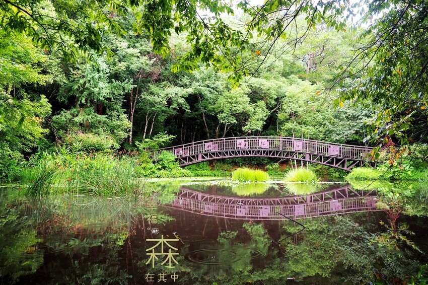 【南投景點】♥桃米親水公園♥2023埔里親水節-六足狂想曲帶你清涼過暑假,南投免費玩水景點,活動資訊開放時間