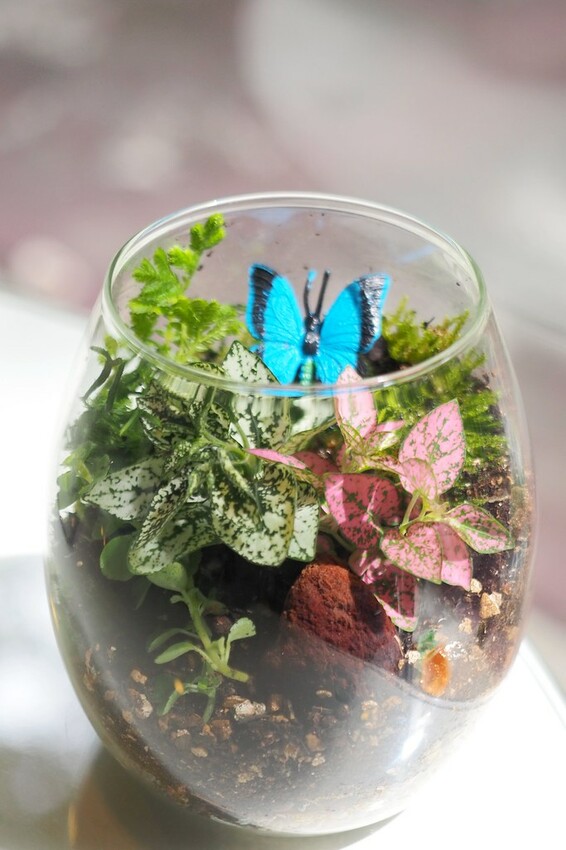 【南投埔里行程】2023南投埔里親子兩日遊行程推薦.水泥角生態民宿,部落體驗.Feeling18 LAB-烘焙研究所