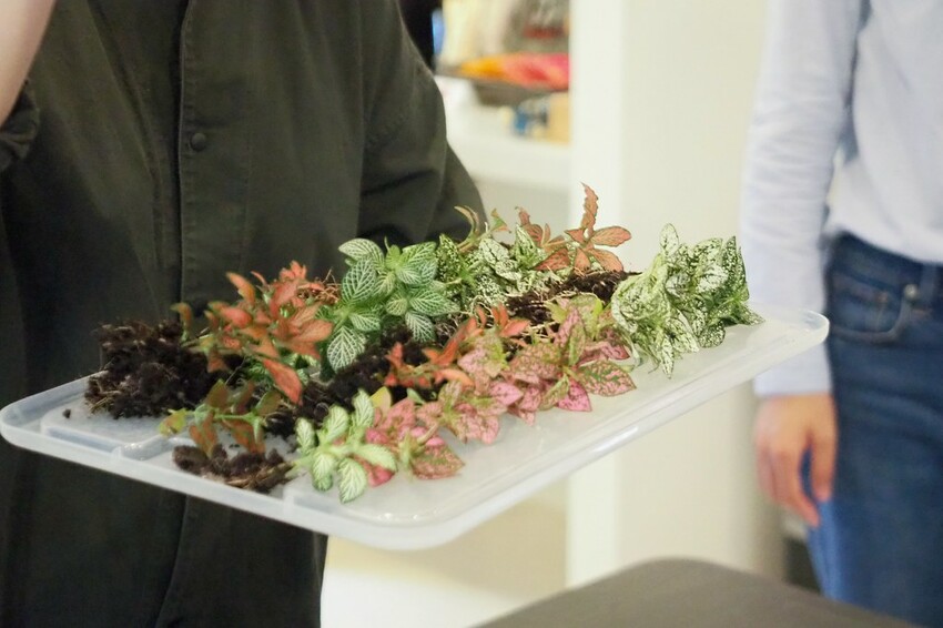 【南投埔里行程】2023南投埔里親子兩日遊行程推薦.水泥角生態民宿,部落體驗.Feeling18 LAB-烘焙研究所