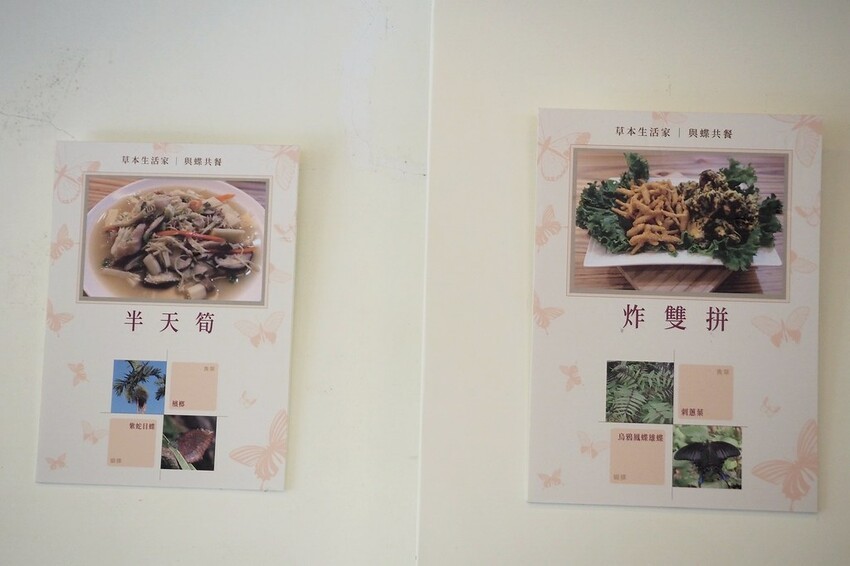 【南投埔里行程】2023南投埔里親子兩日遊行程推薦.水泥角生態民宿,部落體驗.Feeling18 LAB-烘焙研究所