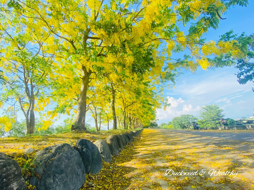 必訪台南自然系景點：蘇厝河堤公園/ WalkerLand窩客島整理提供 未經許可不可轉載