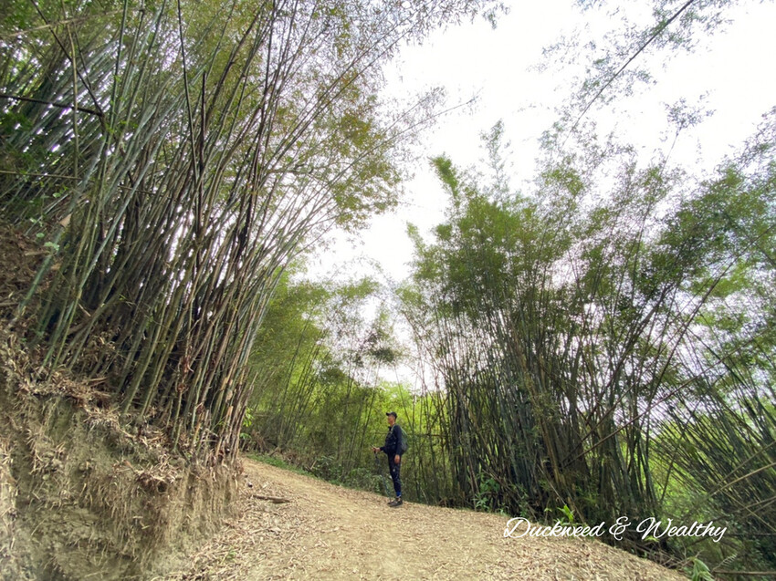 台南步道推薦:林安森林公園觀光步道 / WalkerLand窩客島整理提供 未經許可不可轉載 台南步道推薦:林安森林公園觀光步道 / WalkerLand窩客島整理提供 未經許可不可轉載