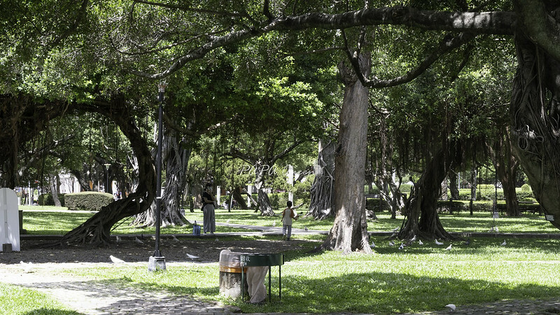 台中景點 ｜臺中公園 湖心亭划船是經典！台中年代最古老公園