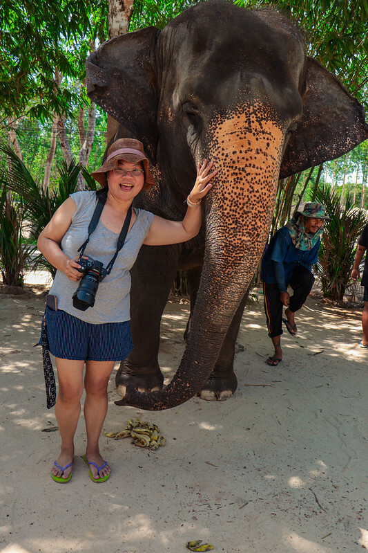 【亞洲，泰國，普吉島】在普吉島大象叢林保護區Green Elephant Sanctuary Park Phuket 餵食大象，跟大象洗