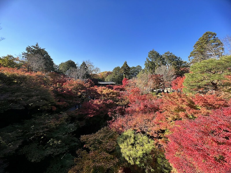 【亞洲,日本,京都】東福寺,關西最有名的賞楓名所,京都第一賞楓景點。(京都旅遊,京都景點)