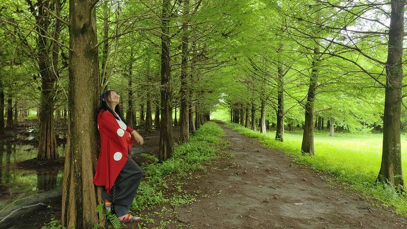 【台灣，花蓮】台灣好行縱谷花蓮線郵輪式公車玩花蓮；搭公車遊：慶修院、鯉魚潭、花蓮觀光糖廠、雲山水、松