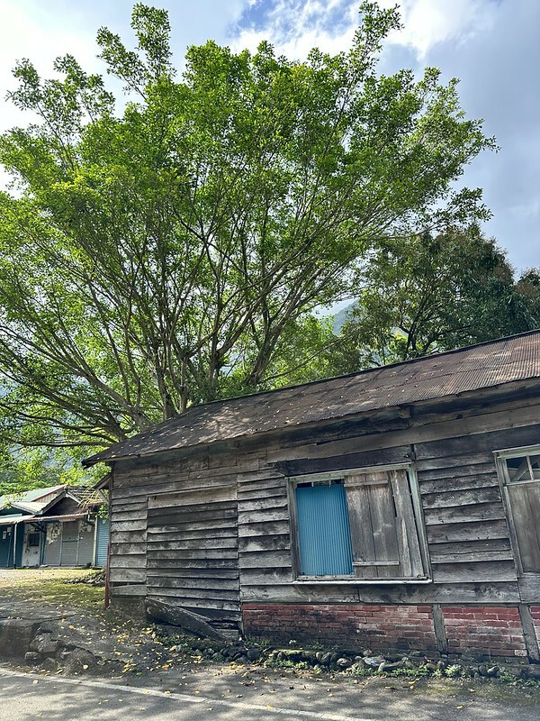 【台灣，花蓮】台灣好行縱谷花蓮線郵輪式公車玩花蓮；搭公車遊：慶修院、鯉魚潭、花蓮觀光糖廠、雲山水、松
