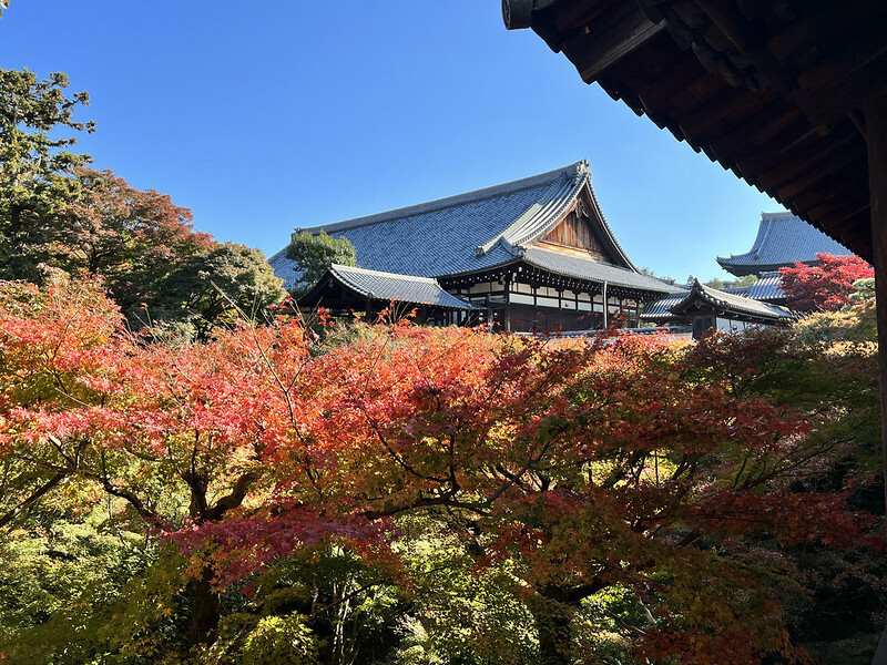 【亞洲,日本,京都】東福寺,關西最有名的賞楓名所,京都第一賞楓景點。(京都旅遊,京都景點)