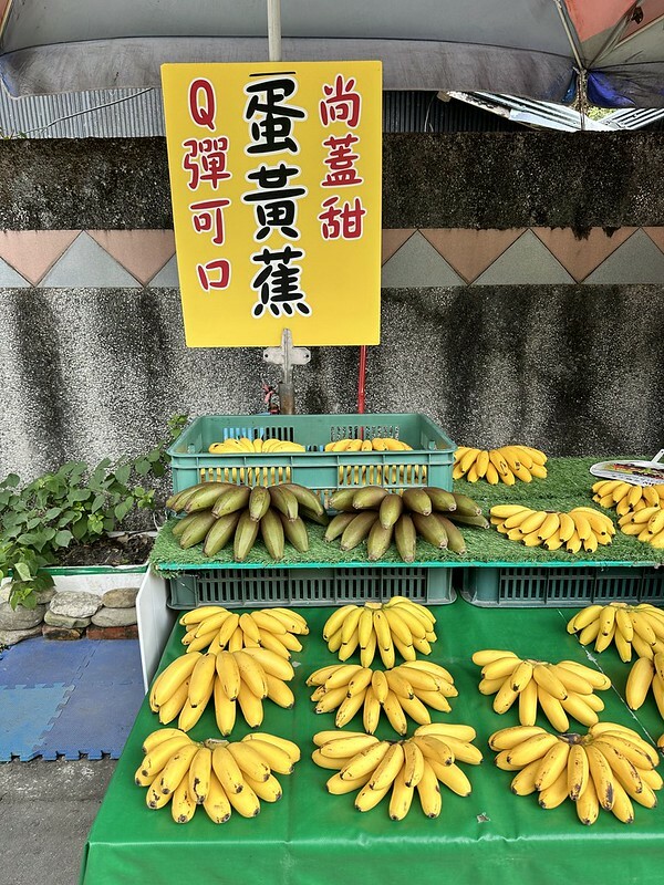 【台灣，花蓮】台灣好行縱谷花蓮線郵輪式公車玩花蓮；搭公車遊：慶修院、鯉魚潭、花蓮觀光糖廠、雲山水、松