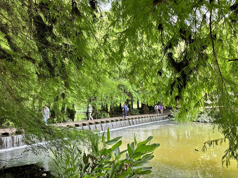 【台灣，花蓮】台灣好行縱谷花蓮線郵輪式公車玩花蓮；搭公車遊：慶修院、鯉魚潭、花蓮觀光糖廠、雲山水、松