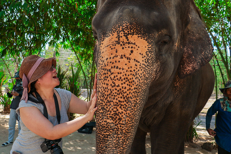 【亞洲，泰國，普吉島】在普吉島大象叢林保護區Green Elephant Sanctuary Park Phuket 餵食大象，跟大象洗
