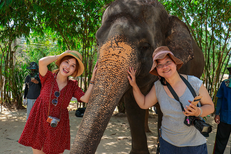 【亞洲，泰國，普吉島】在普吉島大象叢林保護區Green Elephant Sanctuary Park Phuket 餵食大象，跟大象洗