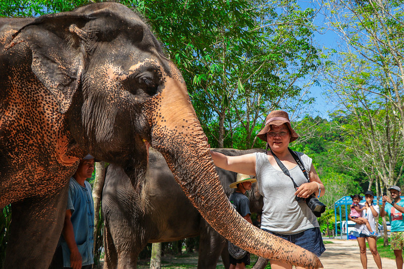【亞洲，泰國，普吉島】在普吉島大象叢林保護區Green Elephant Sanctuary Park Phuket 餵食大象，跟大象洗