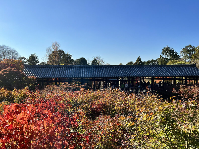 【亞洲,日本,京都】東福寺,關西最有名的賞楓名所,京都第一賞楓景點。(京都旅遊,京都景點)