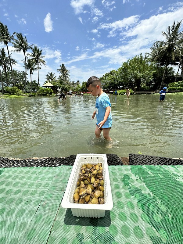 【台灣，花蓮】台灣好行縱谷花蓮線郵輪式公車玩花蓮；搭公車遊：慶修院、鯉魚潭、花蓮觀光糖廠、雲山水、松