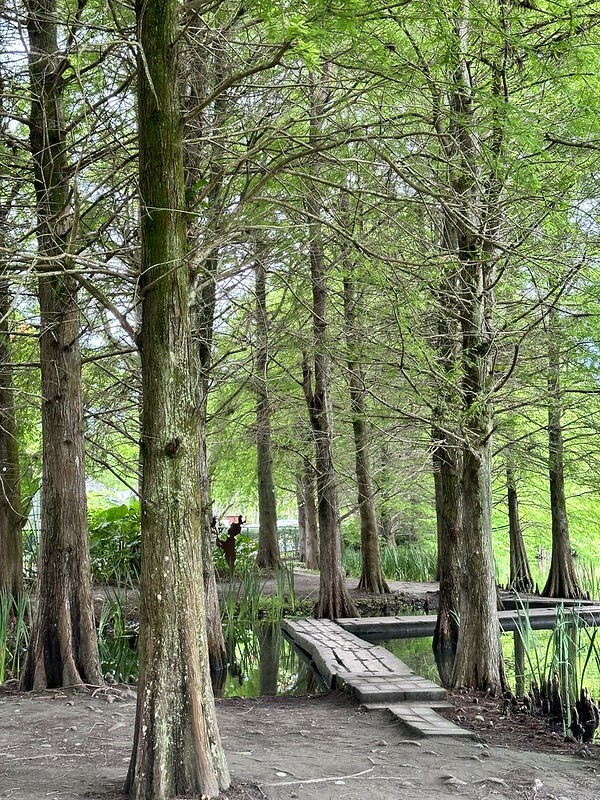 【台灣，花蓮】台灣好行縱谷花蓮線郵輪式公車玩花蓮；搭公車遊：慶修院、鯉魚潭、花蓮觀光糖廠、雲山水、松