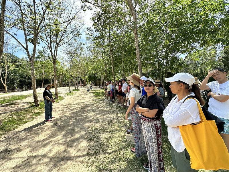 【亞洲，泰國，普吉島】在普吉島大象叢林保護區Green Elephant Sanctuary Park Phuket 餵食大象，跟大象洗