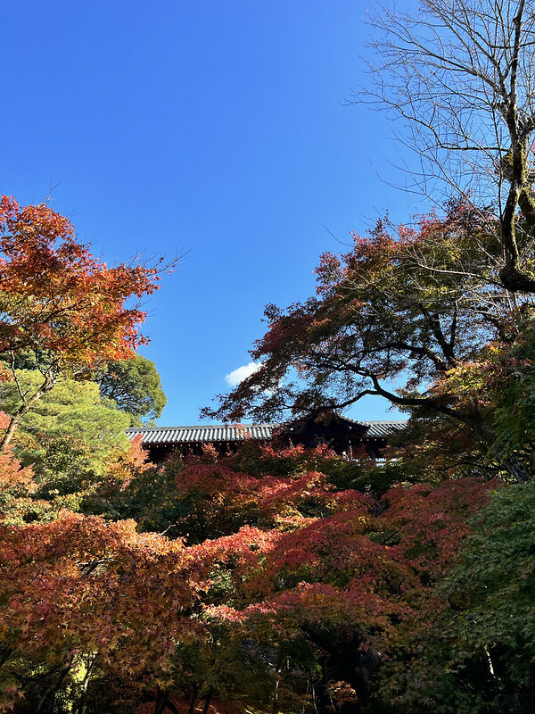 【亞洲,日本,京都】東福寺,關西最有名的賞楓名所,京都第一賞楓景點。(京都旅遊,京都景點)