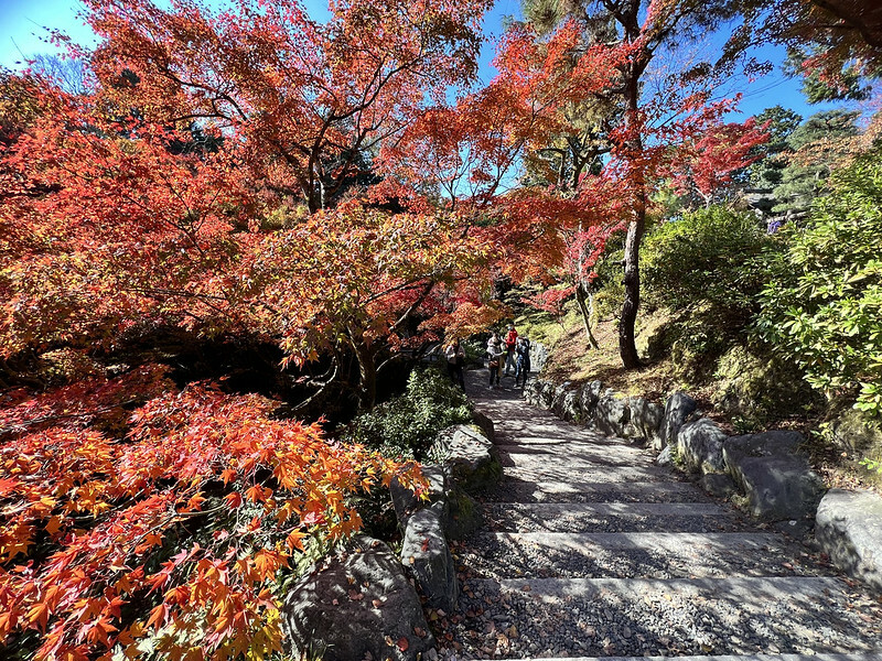 【亞洲,日本,京都】東福寺,關西最有名的賞楓名所,京都第一賞楓景點。(京都旅遊,京都景點)