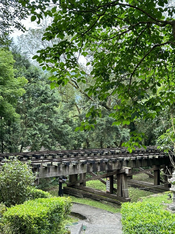 【台灣，花蓮】台灣好行縱谷花蓮線郵輪式公車玩花蓮；搭公車遊：慶修院、鯉魚潭、花蓮觀光糖廠、雲山水、松