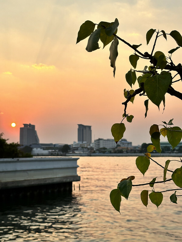 【亞洲，泰國，曼谷】 TeawKorTeawRimnam（ร้านเตี๋ยว ก็ เตี๋ยว ริมน้ำ），地方法院旁巷弄間的面河的美味
