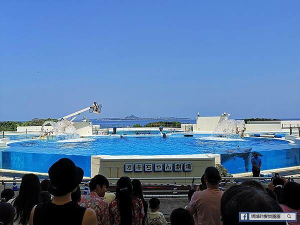 沖繩海洋博公園【沖繩美麗海水族館】親子必遊亞洲最大沖繩黑潮之海-鯨鯊鬼蝠魟/海豚表演秀