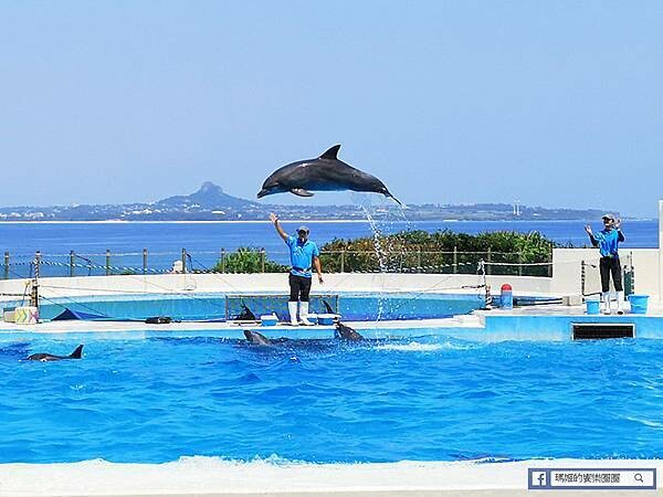 沖繩海洋博公園【沖繩美麗海水族館】親子必遊亞洲最大沖繩黑潮之海-鯨鯊鬼蝠魟/海豚表演秀