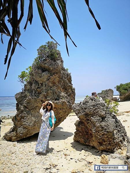 沖繩海洋博公園【沖繩美麗海水族館】親子必遊亞洲最大沖繩黑潮之海-鯨鯊鬼蝠魟/海豚表演秀