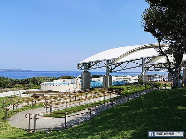 沖繩海洋博公園【沖繩美麗海水族館】親子必遊亞洲最大沖繩黑潮之海-鯨鯊鬼蝠魟/海豚表演秀