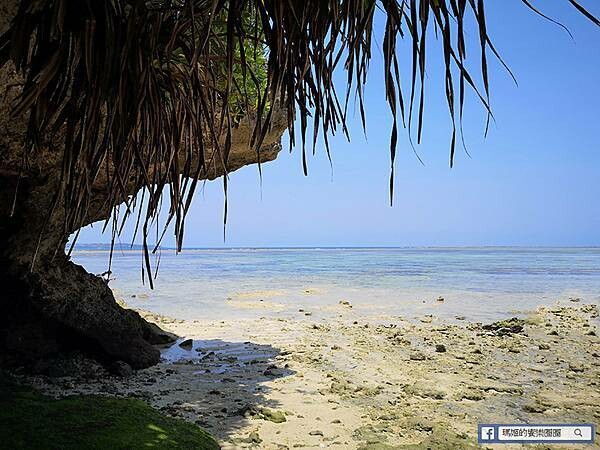沖繩海洋博公園【沖繩美麗海水族館】親子必遊亞洲最大沖繩黑潮之海-鯨鯊鬼蝠魟/海豚表演秀