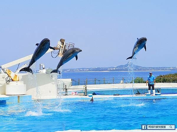 沖繩海洋博公園【沖繩美麗海水族館】親子必遊亞洲最大沖繩黑潮之海-鯨鯊鬼蝠魟/海豚表演秀