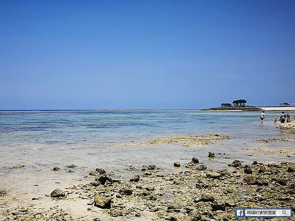沖繩海洋博公園【沖繩美麗海水族館】親子必遊亞洲最大沖繩黑潮之海-鯨鯊鬼蝠魟/海豚表演秀