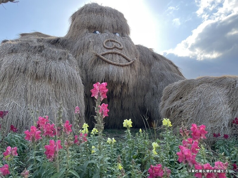 【花蓮。富里鄉】富里農會25.jpg 【花蓮。富里鄉】富里農會25.jpg