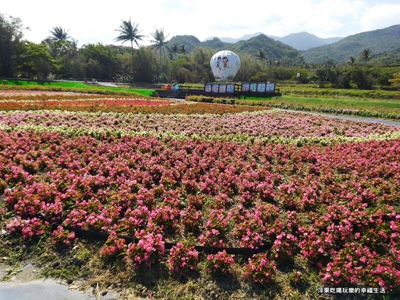 【台東。成功鎮】2023年成功花海4.jpg
