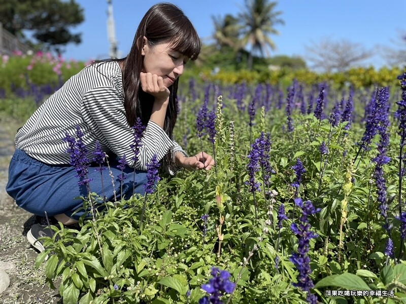 【台東。成功鎮】2023年成功花海8.jpg