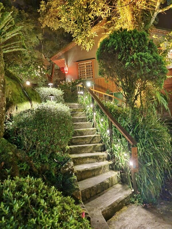 溪頭聽濤園渡假山莊.東方美學的優質民宿