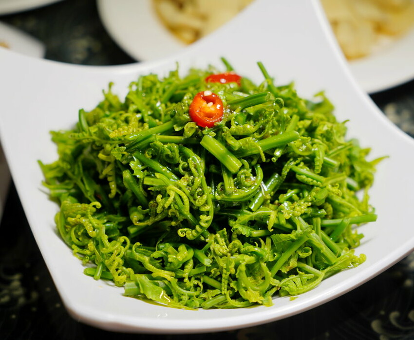 溪頭聽濤園渡假山莊.東方美學的優質民宿