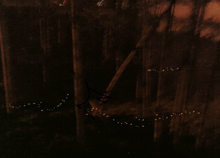 溪頭聽濤園渡假山莊.東方美學的優質民宿