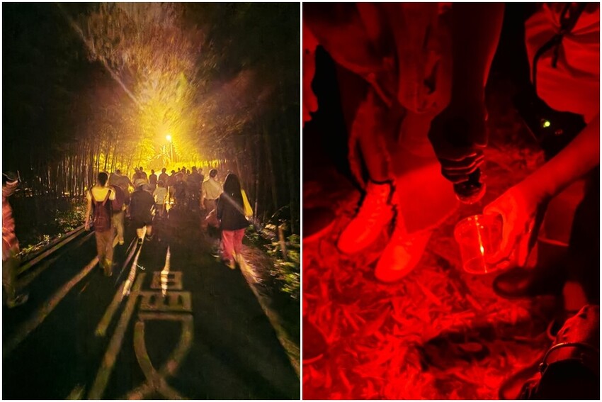 溪頭聽濤園渡假山莊.東方美學的優質民宿