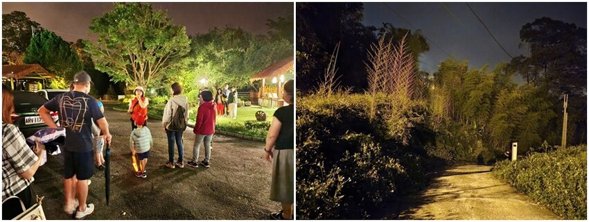 溪頭聽濤園渡假山莊.東方美學的優質民宿