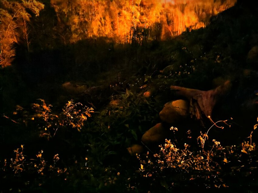 溪頭聽濤園渡假山莊.東方美學的優質民宿