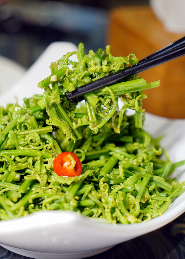 溪頭聽濤園渡假山莊.東方美學的優質民宿