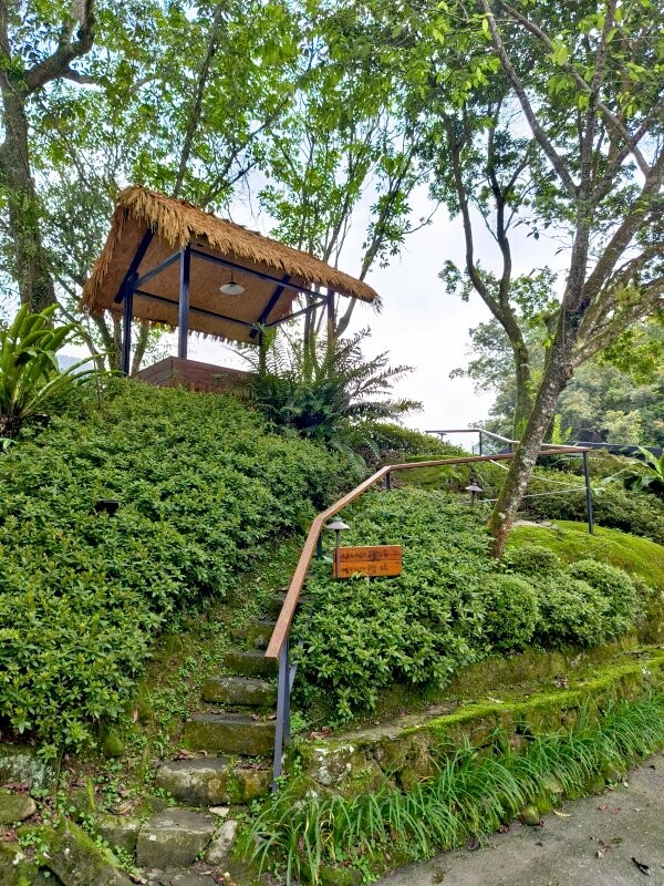 溪頭聽濤園渡假山莊.東方美學的優質民宿