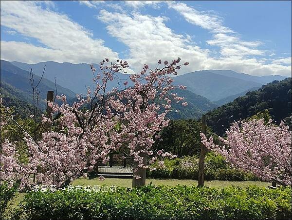 棲蘭山莊11.jpg 棲蘭山莊11.jpg