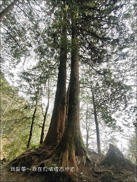 見晴懷古步道17.jpg