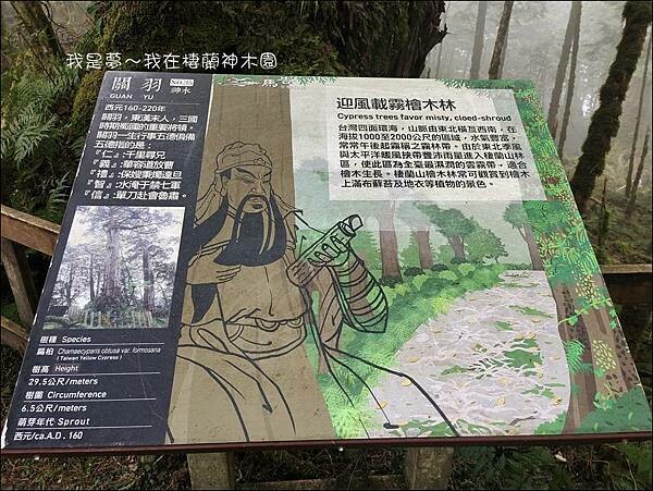 棲蘭神木園91.jpg