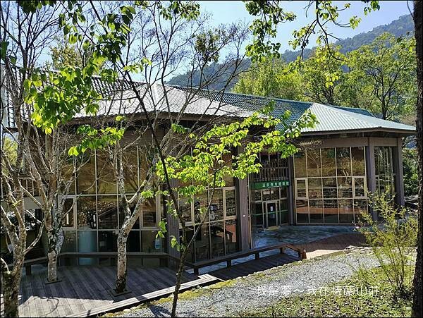 棲蘭山莊38.jpg 棲蘭山莊38.jpg