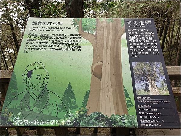 棲蘭神木園17.jpg
